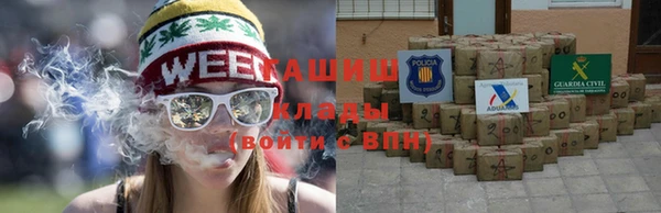 ПСИЛОЦИБИНОВЫЕ ГРИБЫ Алзамай