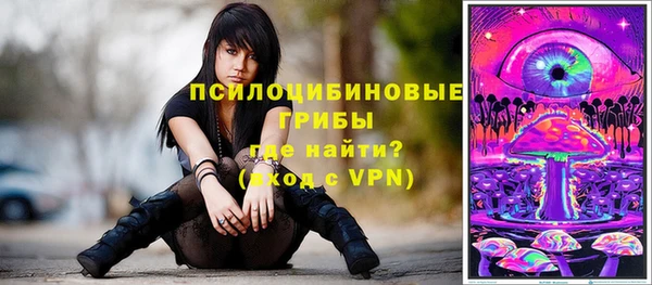 apvp Алексеевка