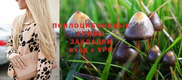 apvp Алексеевка