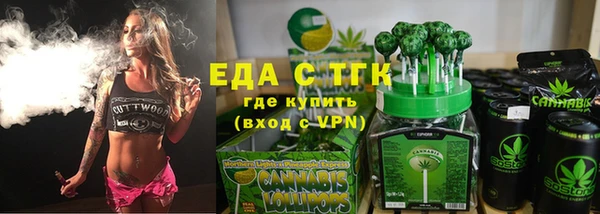 индика Алексин