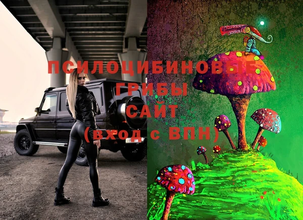 индика Алексин