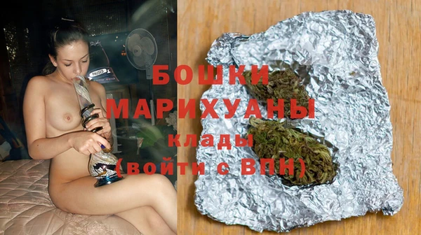 индика Алексин