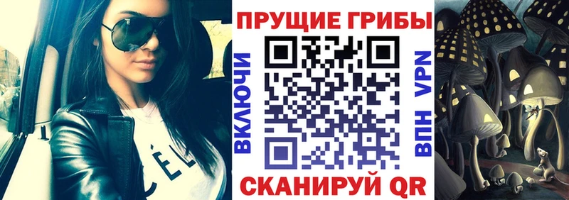 купить закладку Грязи Галлюциногенные грибы Cubensis
